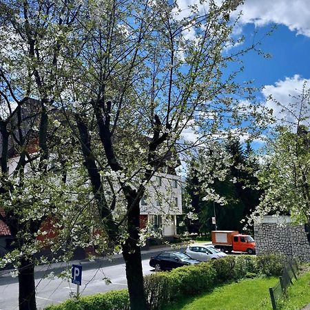 Lv Luxury Apart - One Minute Away From Train Station 普雷代亚尔 外观 照片