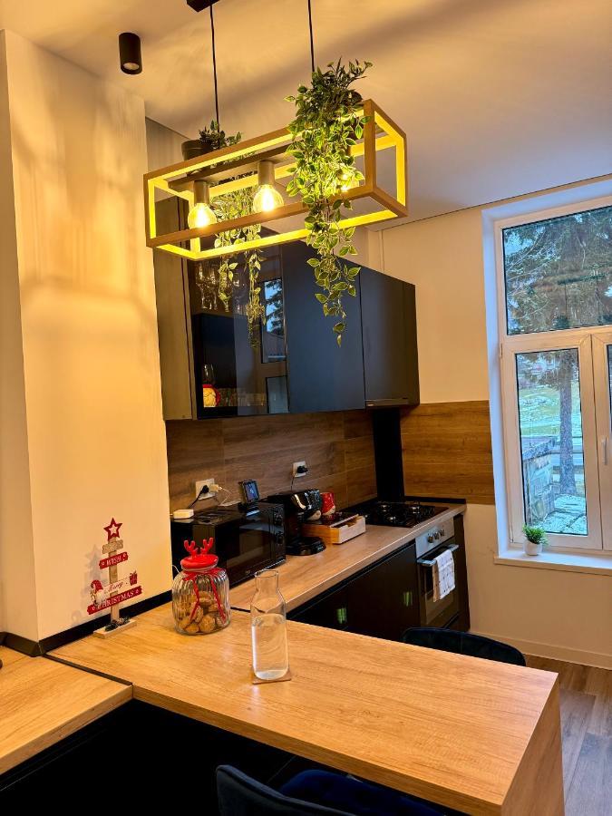 Lv Luxury Apart - One Minute Away From Train Station 普雷代亚尔 外观 照片