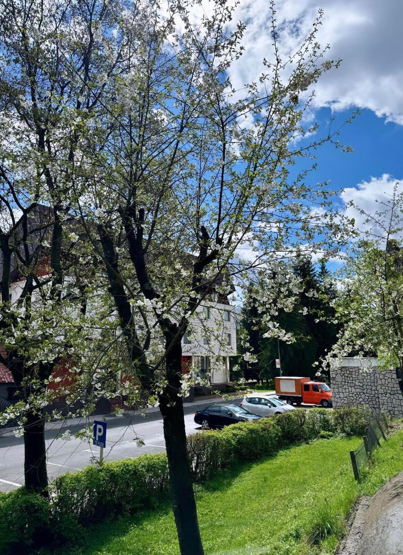 Lv Luxury Apart - One Minute Away From Train Station 普雷代亚尔 外观 照片